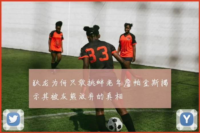 狄龙为何只敢挑衅老年詹帕金斯揭示其被灰熊放弃的真相